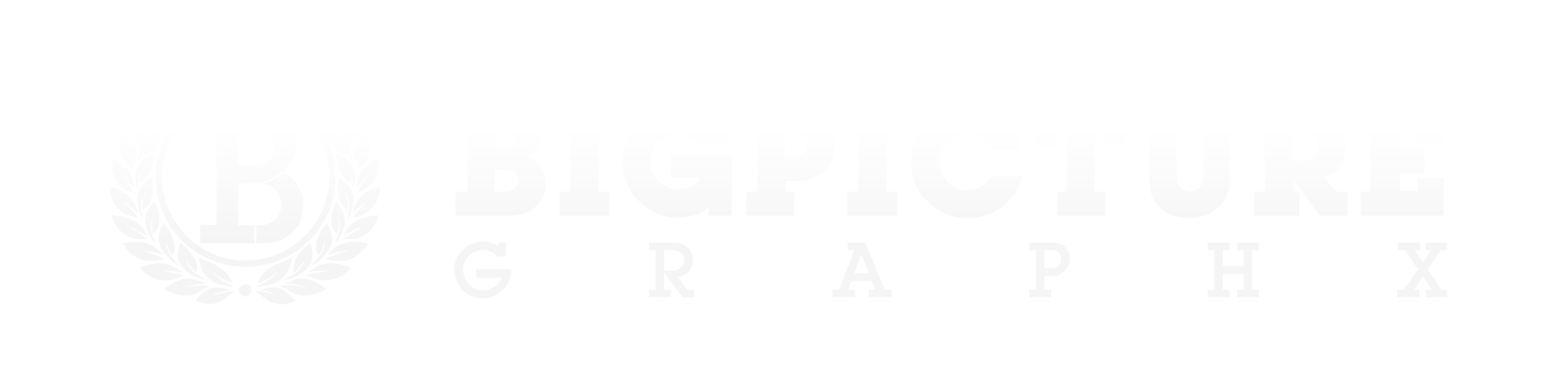 Bigpicture Graphx LLC